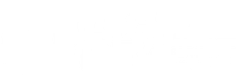 Digital Dev